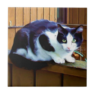 Schwarzweiss-Katzen-Keramikfliese Fliese
