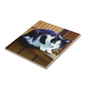 Schwarzweiss-Katzen-Keramikfliese Fliese (Seite)