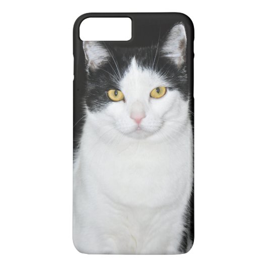 Schwarzweiss-Katzen-Porträt Case-Mate iPhone Hülle (Rückseite)