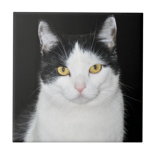 Schwarzweiss-Katzen-Porträt Fliese (Vorderseite)