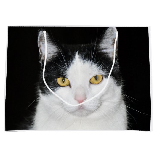 Schwarzweiss-Katzen-Porträt Große Geschenktüte (Vorderseite)