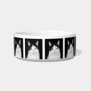 Schwarzweiss-Katzen-Porträt Napf