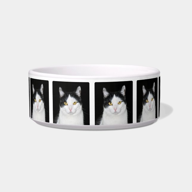 Schwarzweiss-Katzen-Porträt Napf (Vorderseite)