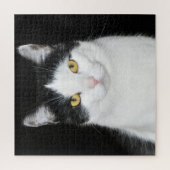 Schwarzweiss-Katzen-Porträt Puzzle (Vertikal)