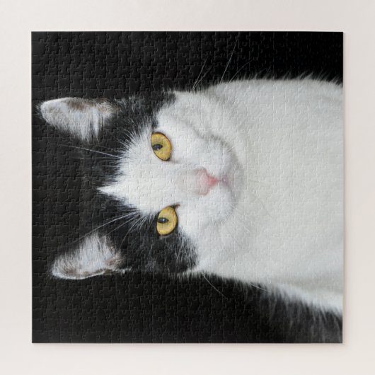 Schwarzweiss-Katzen-Porträt Puzzle (Vertikal)