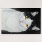 Schwarzweiss-Katzen-Porträt Puzzle (Horizontal)
