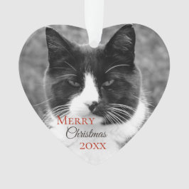 Schwarzweiss-Katzen-Weihnachten Ornament