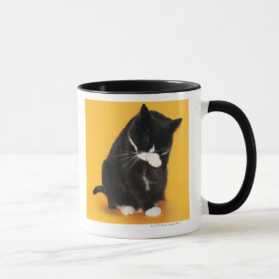 Schwarzweiss-Katzenreinigungsgesicht mit der Tatze Tasse