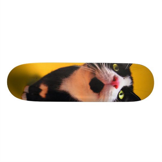 Schwarzweiss-KatzeSmoking Katzehaustier Individuelle Skateboarddecks