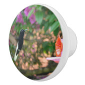 Schwarzweiss-Kolibrifliegen an einer Zufuhr Keramikknauf (Rechts)