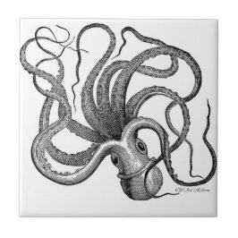 Schwarzweiss-Kraken-Keramiken Fliese