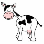 Schwarzweiss-Kuh-Karikatur Fotoskulptur Magnet<br><div class="desc">Schwarzweiss-Kuh. Cartoonillustration einer niedlichen gemusterten Schwarzweiss-Kuh.</div>