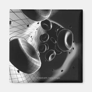 Schwarzweiss-lineare Wiedergabe der Blutzellen Magnet