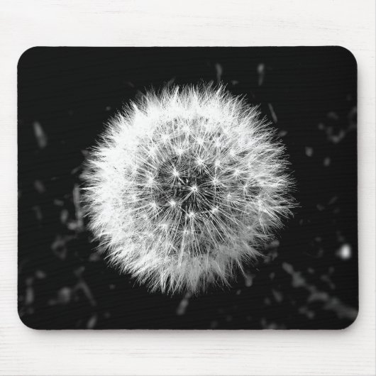 Schwarzweiss-Löwenzahn Mousepad (Vorne)