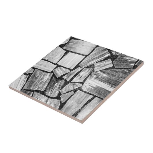 Schwarzweiss-Marmorboden Fliese (Seite)