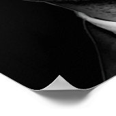 Schwarzweiß-Mike Ross-Zitat Poster (Ecke)