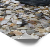 Schwarzweiß-Muscheln-Plakat Poster (Ecke)