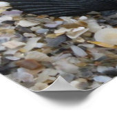 Schwarzweiß-Muscheln-Plakat Poster (Ecke)