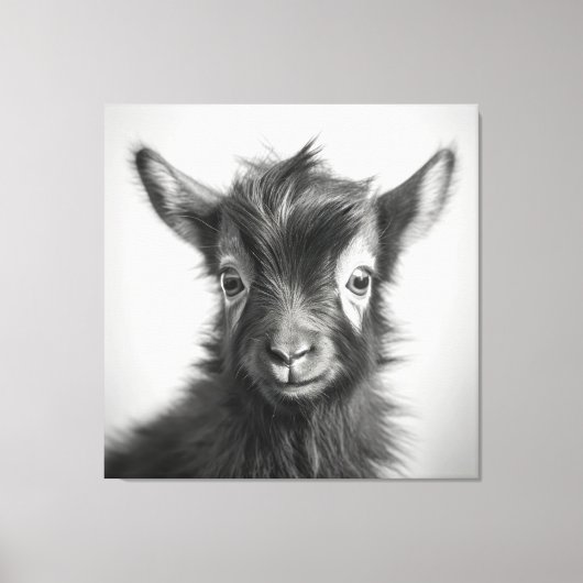 Schwarzweiß-Niedliches Baby-Goat-Foto Leinwanddruck (Vorderseite)