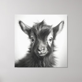 Schwarzweiß-Niedliches Baby-Goat-Foto Leinwanddruck