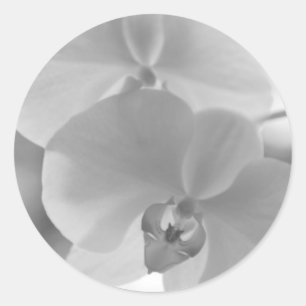Schwarzweiss-Orchideen Runder Aufkleber