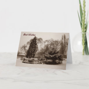 Schwarzweiss-Parkschneeszenen-Foto chrismas Feiertagskarte