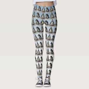 Schwarzweiss-Penguin-Vögel auf blauen Leggings