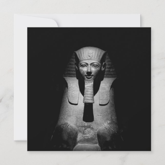 Schwarzweiß-Pharao-König (Vorderseite)