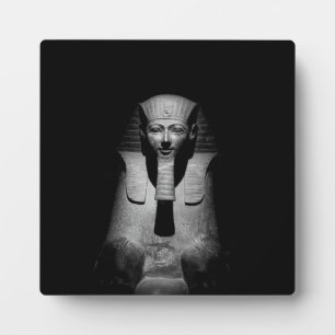 Schwarzweiß-Pharao-König Fotoplatte