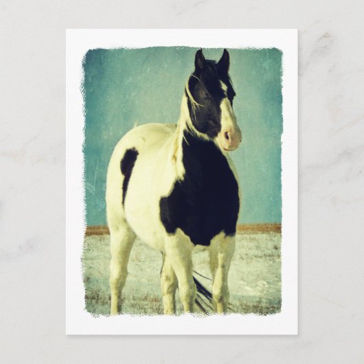 Schwarzweiß-Pin Postkarte (Vorderseite)