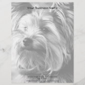 Schwarzweiss-Porträt Yorkshires Terrier Yorkie Briefkopf (Vorderseite)
