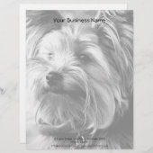 Schwarzweiss-Porträt Yorkshires Terrier Yorkie Briefkopf (Vorne/Hinten)