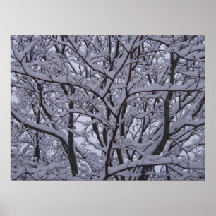 Schwarzweiss Poster