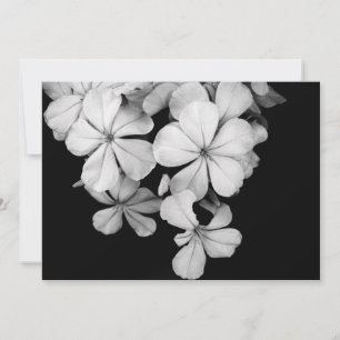 Schwarzweiß-Postkarte Einladung