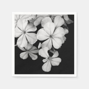 Schwarzweiß-Postkarte Serviette