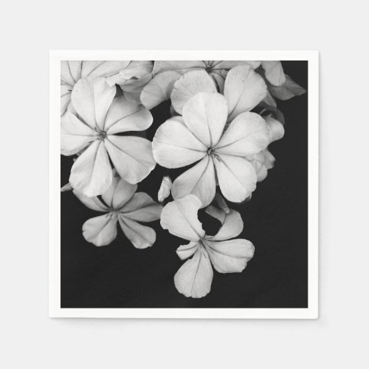 Schwarzweiß-Postkarte Serviette (Vorderseite)