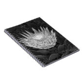 Schwarzweiß-Protea-Notebook Notizblock (Rechte Seite)