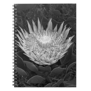 Schwarzweiß-Protea-Notebook Notizblock