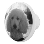 Schwarzweiss-Pudel-Gesichts-Welpen-Augen Keramikknauf (Rechts)
