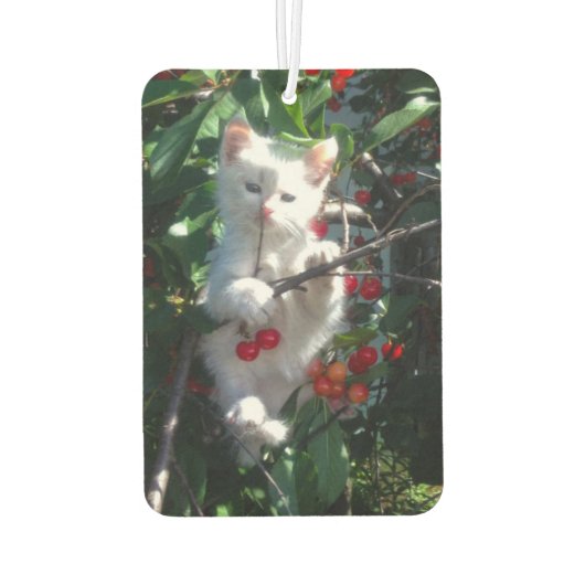 Schwarzweiß-Rosa-Signatur Modernes Monogramm-Foto Autolufterfrischer (Rückseite)