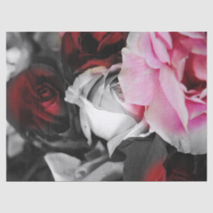 Schwarzweiss-Rosen verblassen Seidenpapier