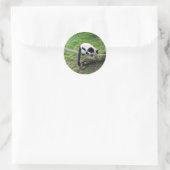 Schwarzweiß-Ruffed Lemur #2-1 Stickers (Tasche)