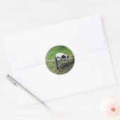Schwarzweiß-Ruffed Lemur #2-1 Stickers (Umschlag)