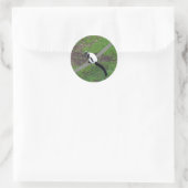 Schwarzweiß-Ruffed Lemur #3-Stickers Runder Aufkleber (Tasche)