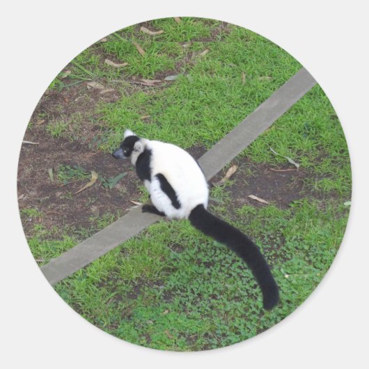 Schwarzweiß-Ruffed Lemur #3-Stickers Runder Aufkleber (Vorderseite)