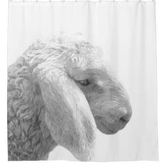 Schwarzweiss-Schafe Duschvorhang (Vorderseite)