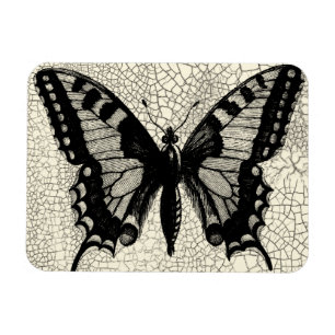 Schwarzweiss-Schmetterling auf gebrochenem Magnet