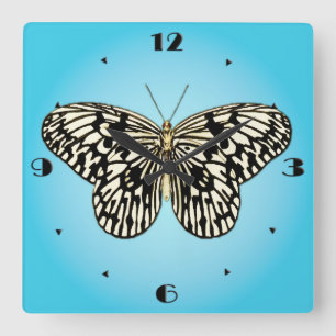 Schwarzweiss-Schmetterling auf Türkis Quadratische Wanduhr