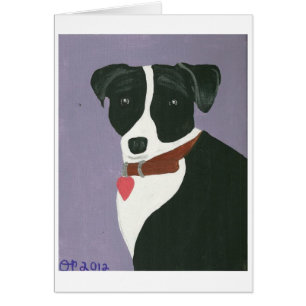 Schwarzweiss-Schönheit