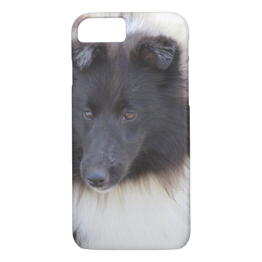 Schwarzweiss-Sheltie Case-Mate iPhone Hülle (Rückseite)